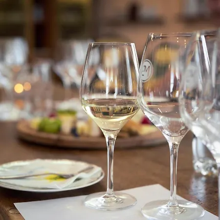 Invicto Elenovo (Sliven)